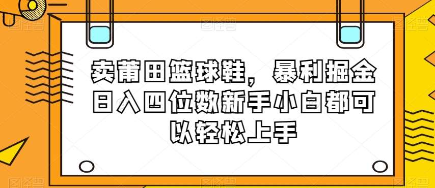 卖莆田篮球鞋，暴利掘金日入四位数新手小白都可以轻松上手【揭秘】-宇文网创