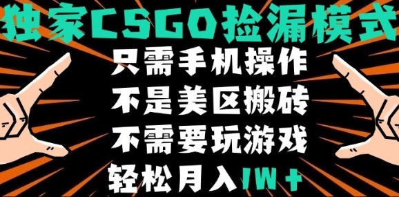 CSGO自动捡漏项目，最新独家玩法，不是美区搬砖，不需要了解和玩游戏，新手小白轻松月入1W+【揭秘】-宇文网创