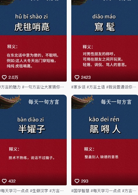 图片[2]-抖音最新涨粉玩法，图文方言暴力涨粉实操，126作品涨粉11W-宇文网创