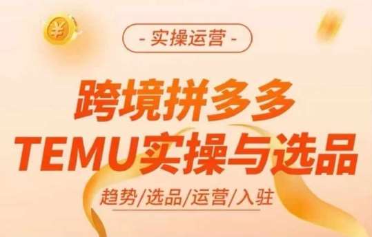 跨境拼多多TEMU实操与选品，多多temu跨境选品运营实操-宇文网创