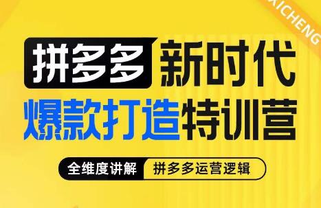 玺承·拼多多新时代爆款打造特训营，全维度讲解拼多多运营逻辑-宇文网创