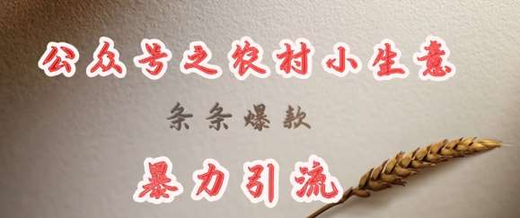 deepseek写农村小项目，条条爆款，暴力引流-宇文网创