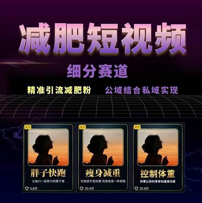 图片[2]-减肥短视频运营实战课：含素材制作、剪映教学，讲精准引流、变现设计与内容模板技巧-宇文网创