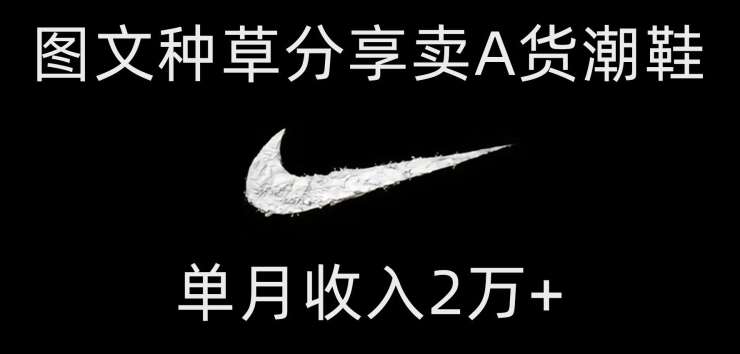 靠图文种草分享卖A货潮鞋，每天一小时，单月收入2万+【揭秘】-宇文网创