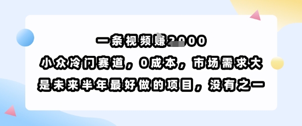 一条视频挣1k,小众冷门赛道,0成本,市场需求大,是未来半年最好做的项目,没有之一-宇文网创