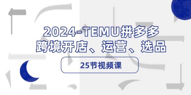 （12106期）2024-TEMU拼多多·跨境开店、运营、选品（25节视频课）-宇文网创