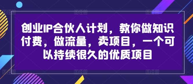 创业IP合伙人计划，教你做知识付费，做流量，卖项目，一个可以持续很久的优质项目-宇文网创