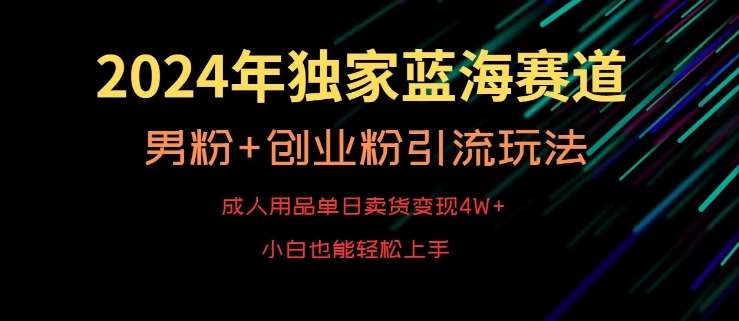 2024年独家蓝海赛道，成人用品单日卖货变现4W+，男粉+创业粉引流玩法，不愁搞不到流量【揭秘】-宇文网创