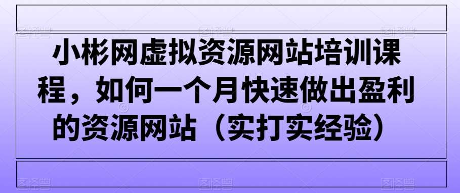 小彬网虚拟资源网站培训课程,如何一个月快速做出盈利的资源网站(实打实经验)-宇文网创
