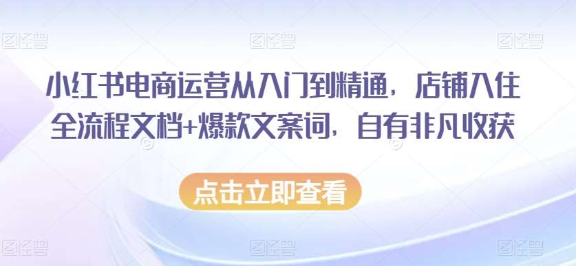 小红书电商运营从入门到精通，店铺入住全流程文档+爆款文案词，自有非凡收获-宇文网创