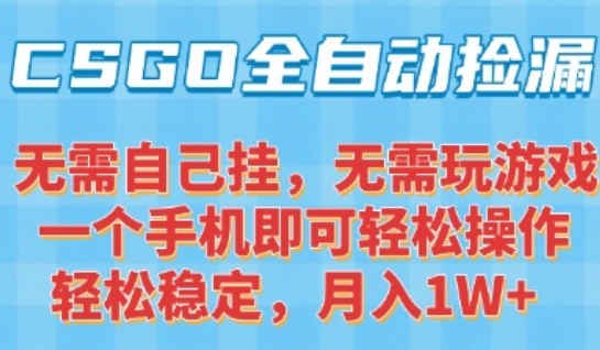 CSGO自动捡漏项目，最新独家玩法，一个手机可操作，新手小白轻松月入1W+，操作简单易上手【揭秘】-宇文网创