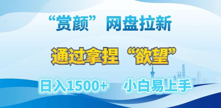 “赏颜”网盘拉新赛道，通过拿捏“欲望”日入1500+，小白易上手【揭秘】-宇文网创