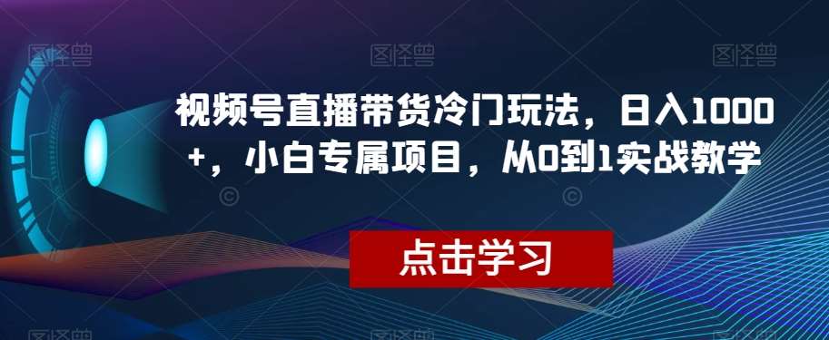 视频号直播带货冷门玩法，日入1000+，小白专属项目，从0到1实战教学【揭秘】-宇文网创