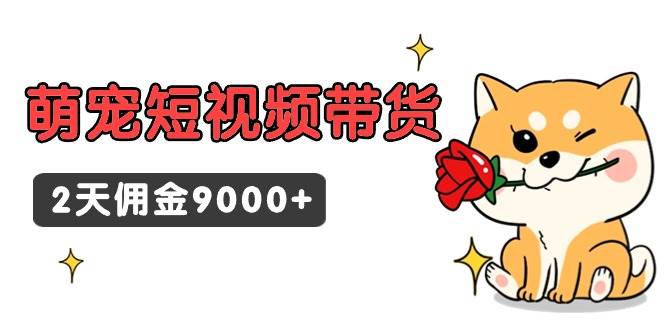 (9273期)东哲日记·萌宠短视频带货,2天佣金9000+-宇文网创