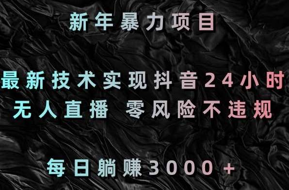 新年暴力项目，最新技术实现抖音24小时无人直播，零风险不违规，每日躺赚3000＋【揭秘】-宇文网创