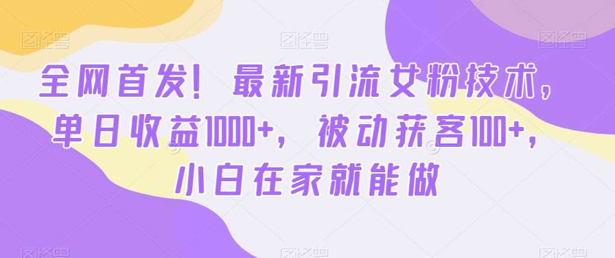 全网首发！最新引流女粉技术，单日收益1000+，被动获客100+，小白在家就能做【揭秘】-宇文网创