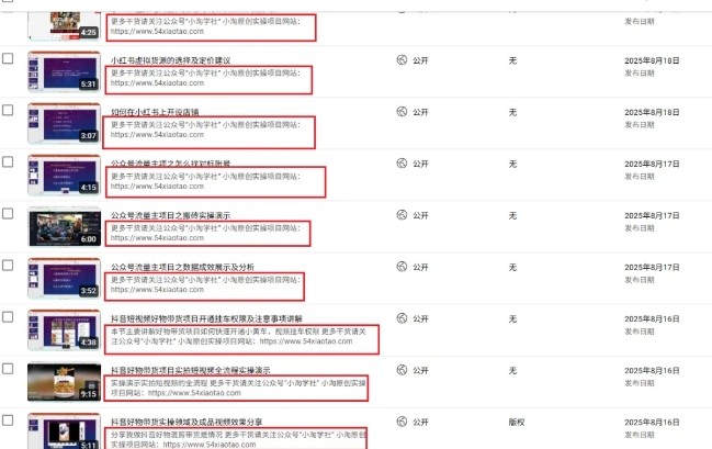 图片[2]-2025油管引流术，分享我是如何通过油管做引流的-宇文网创