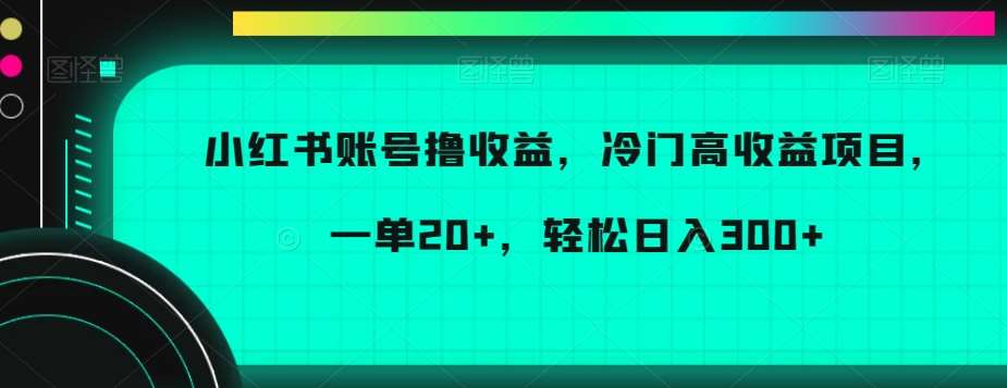 小红书账号撸收益，冷门高收益项目，一单20+，轻松日入300+【揭秘】-宇文网创