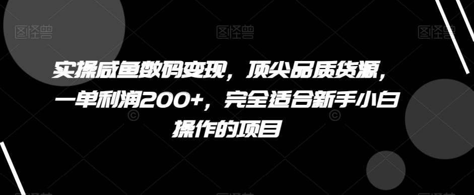 实操咸鱼数码变现，顶尖品质货源，一单利润200+，完全适合新手小白操作的项目【揭秘】-宇文网创