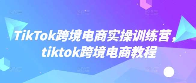 TikTok跨境电商实操训练营，tiktok跨境电商教程-宇文网创