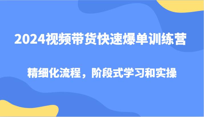 2024视频带货快速爆单训练营,精细化流程,阶段式学习和实操-宇文网创