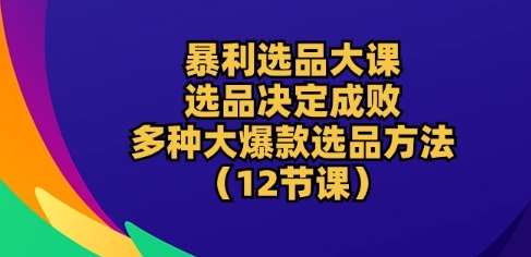 暴利选品大课：选品决定成败，教你多种大爆款选品方法(12节课)-宇文网创