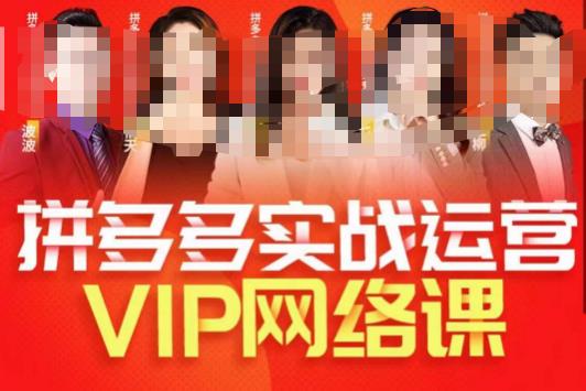 推易拼多多VIP全套直播课程，拼多多店铺实操玩法+实战玩法选款内功+直通车高阶等-宇文网创