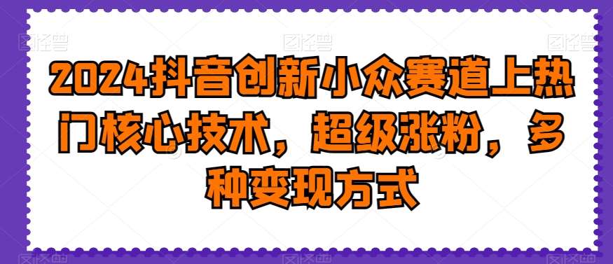 2024抖音创新小众赛道上热门核心技术，超级涨粉，多种变现方式【揭秘】-宇文网创