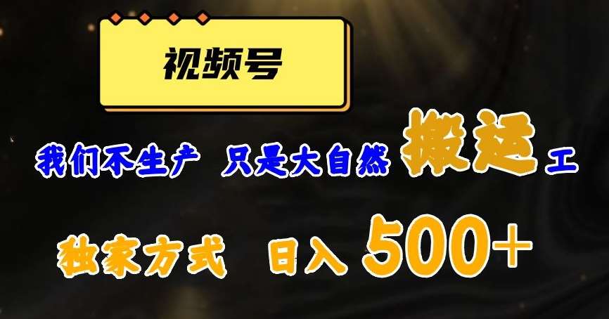 视频号轻松搬运日赚500+，一个1分钟1条原创视频【揭秘】-宇文网创
