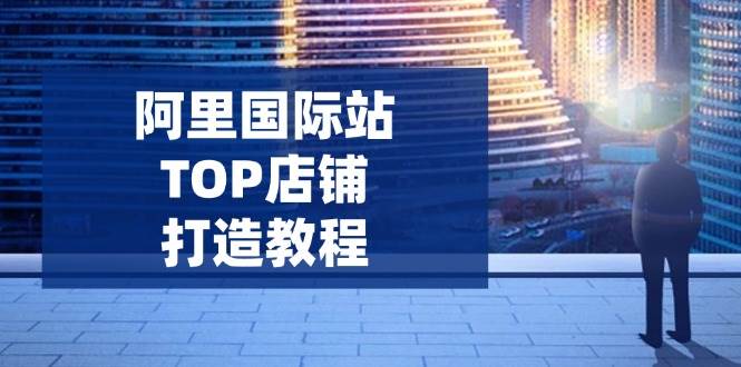 （14269期）阿里国际站TOP店铺打造教程：涵盖平台到高阶，解决运营难题，提升询盘-宇文网创