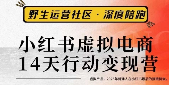 小红书虚拟电商14天变现训练营3.0，​虚拟产品，2025年普通人在小红书最后的搞钱机会-宇文网创