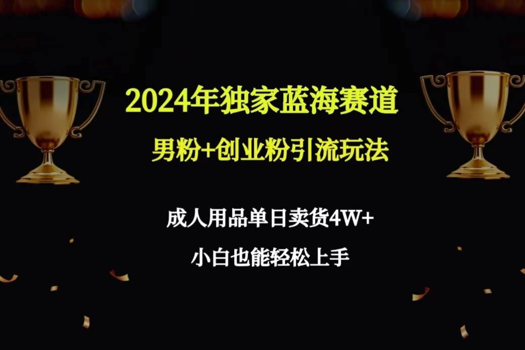 （9112期）2024年独家蓝海赛道男粉+创业粉引流玩法，成人用品单日卖货4W+保姆教程-宇文网创