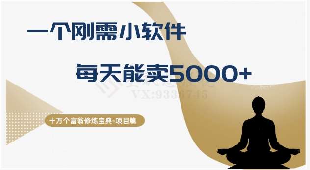 十万个富翁修炼宝典之17.一个刚需小软件，每天能卖5000+-宇文网创