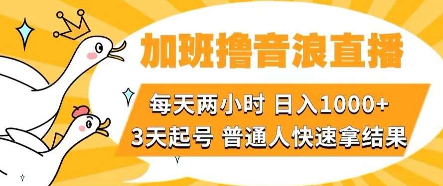 加班撸音浪直播，每天两小时，日入1000+，直播话术才3句，3天起号，普通人快速拿结果【揭秘】-宇文网创