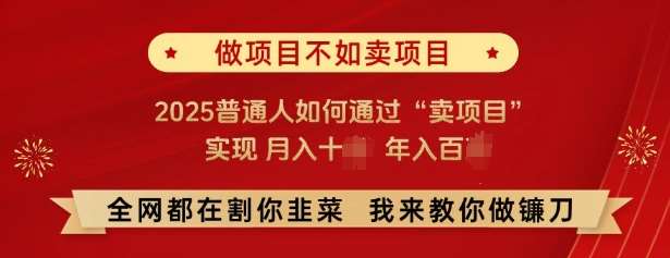 必看,做项目不如卖项目,2025普通人如何通过“卖项目”实现月入十个,年入百个-宇文网创