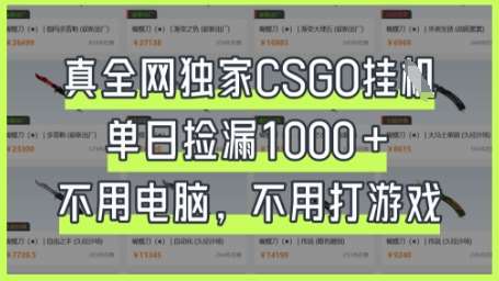 真全网独家CSGO挂G，单日捡漏1k+【揭秘】-宇文网创