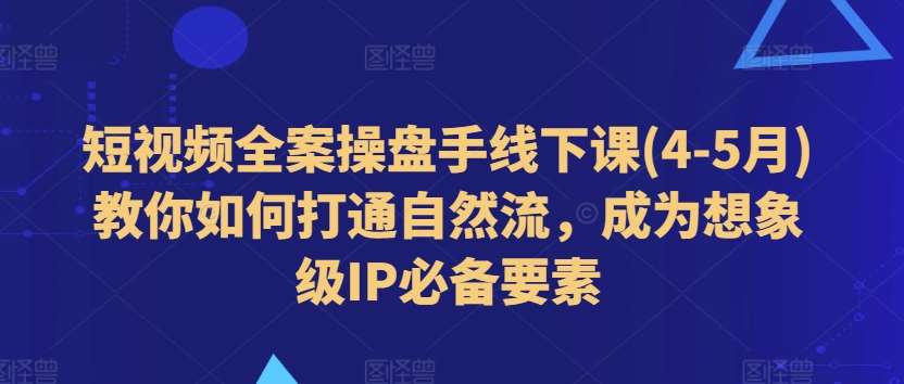 短视频全案操盘手线下课(4-5月)教你如何打通自然流，成为想象级IP必备要素-宇文网创