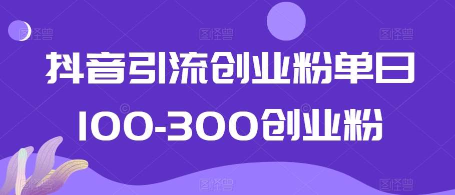 抖音引流创业粉单日100-300创业粉【揭秘】-宇文网创