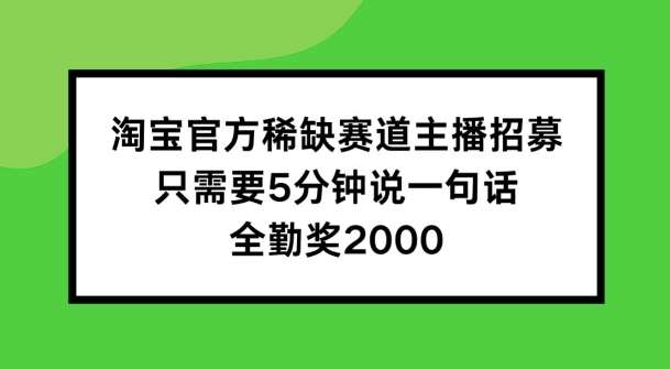 淘宝官方稀缺赛道主播招募 ,只需要5分钟说一句话, 全勤奖2000【揭秘】-宇文网创