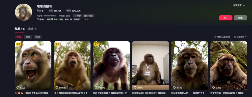 图片[2]-最新爆火的峨眉山猴子短视频制作教程，条条点赞10w+，谁做谁火【教程+提示词】-宇文网创