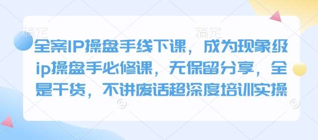 全案IP操盘手线下课，成为现象级ip操盘手必修课，无保留分享，全是干货，不讲废话超深度培训实操-宇文网创