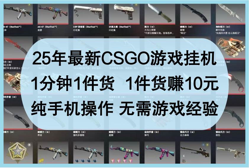 25年最新CSGO游戏挂机，1分钟1件货，1件货赚10元，纯手机操作，无需游戏经验-宇文网创