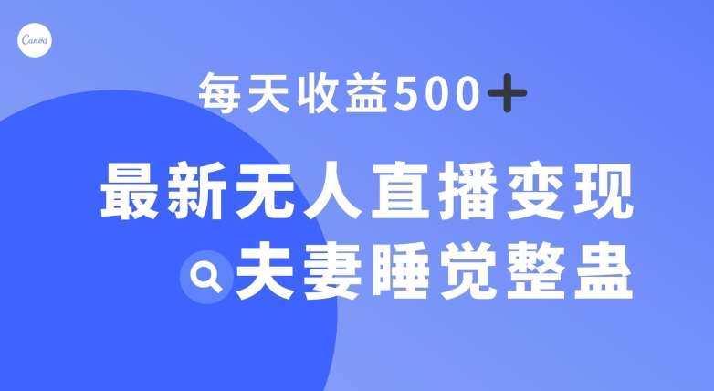 最新无人直播变现，夫妻睡觉整蛊，每天躺赚500+【揭秘】-宇文网创