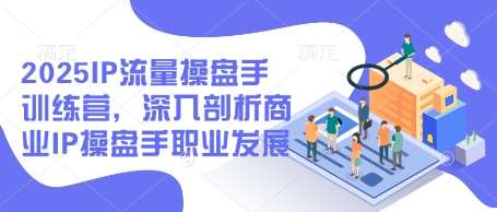 2025IP流量操盘手训练营，深入剖析商业IP操盘手职业发展-宇文网创