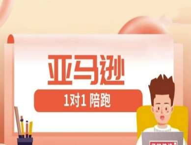 亚马逊1对1陪跑课(FBA/FBM精铺)跨境亚马逊教程-宇文网创