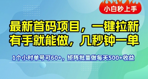 最新首码项目，一键拉新有手就能做，几秒钟一单，1个小时单号可60+，矩阵批量做每天5张【揭秘】-宇文网创