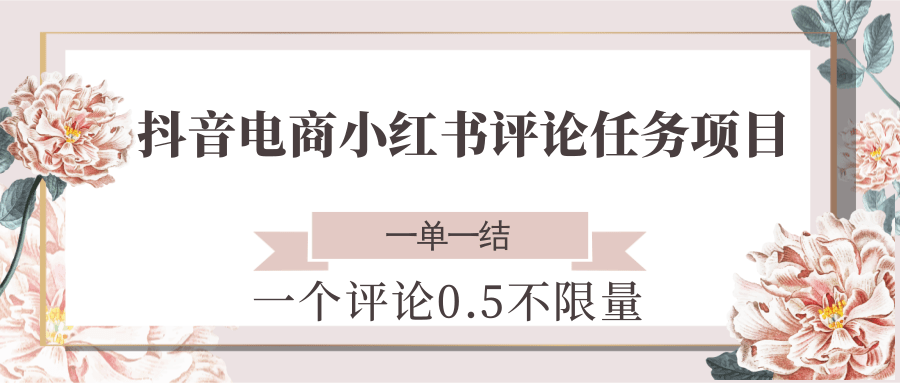 抖音电商小红书评论任务项目，一个评论0.5，一单一结 不限量-宇文网创
