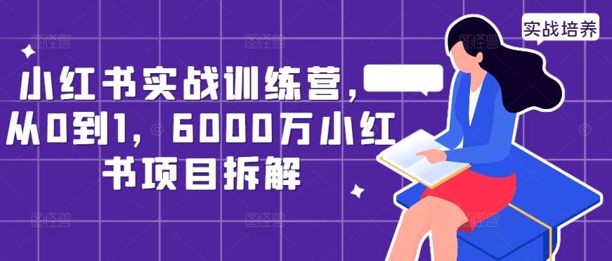 小红书实战训练营，从0到1，6000万小红书项目拆解-宇文网创