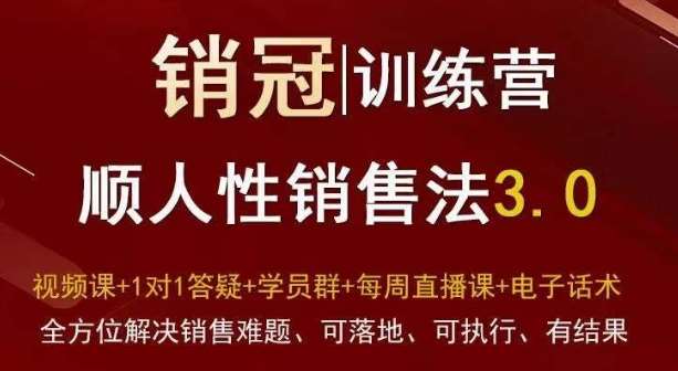 爆款！销冠训练营3.0之顺人性销售法，全方位解决销售难题、可落地、可执行、有结果-宇文网创