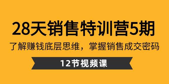 28天销售特训营5期：了解赚钱底层思维，掌握销售成交密码（12节课）-宇文网创